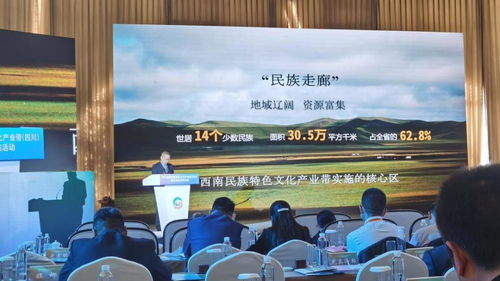 2021西南民族特色文化產業帶發展指南 總投資1960億元，開啟文化產業新篇章